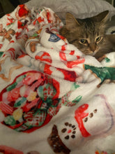 Load image into Gallery viewer, Few of my Favorite Sweets Blanket