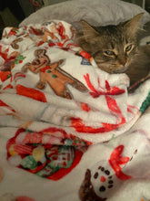 Load image into Gallery viewer, Few of my Favorite Sweets Blanket