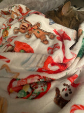 Load image into Gallery viewer, Few of my Favorite Sweets Blanket