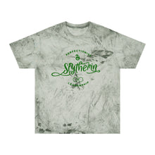 Load image into Gallery viewer, Ambitious House Tshirt*