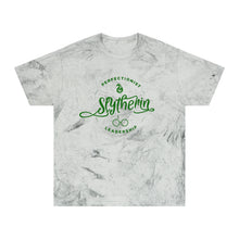 Load image into Gallery viewer, Ambitious House Tshirt*